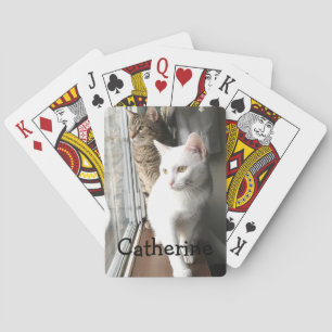 Jeu De Cartes Chats assis près de la fenêtre