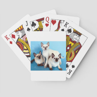 Jeu De Cartes Chats siamois