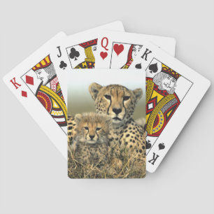 Jeu De Cartes Cheetah Mom and Cub