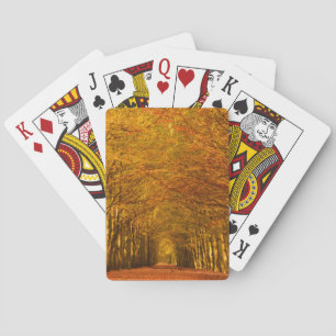 Jeu De Cartes Chemin de marche à travers la forêt dans des