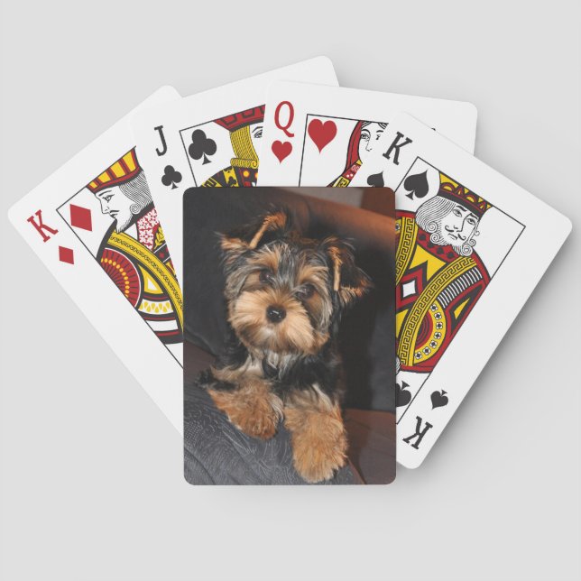 Jeu De Cartes Cher Yorkshire Terrier Yorkie Chien chiot   (dos)