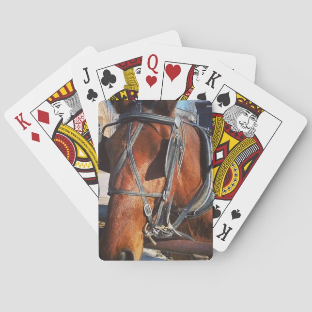 Jeu De Cartes Cheval Amish (dos)