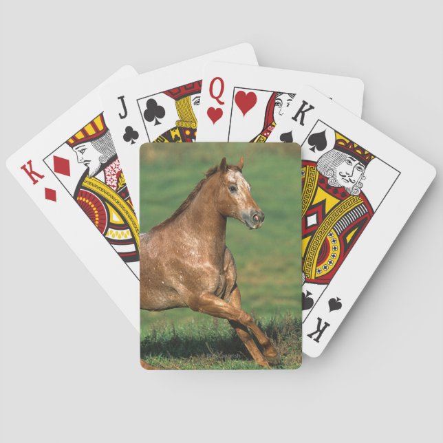 Jeu De Cartes Cheval Appaloosa courant dans le champ de Grassy (dos)
