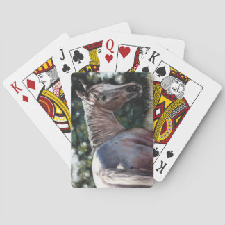 Jeu De Cartes Cheval Appaloosa dans un champ