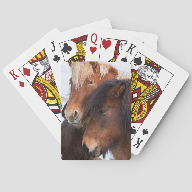 Jeu De Cartes Cheval islandais en hiver en Islande (dos)
