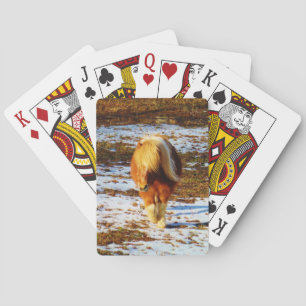 Jeu De Cartes Cheval miniature Brown et crème dans la neige.