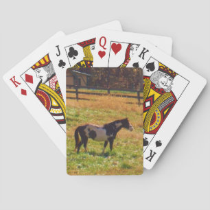 Jeu De Cartes Cheval peint à distance