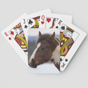 Jeu De Cartes Cheval Tri Coloré