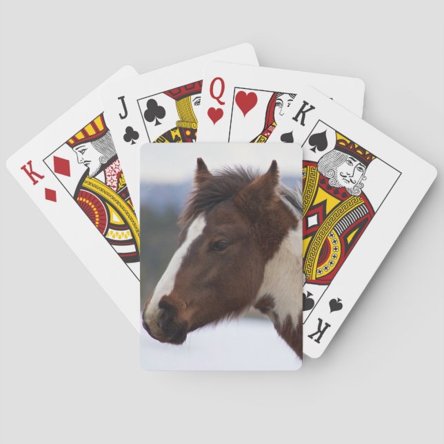 Jeu De Cartes Cheval Tri Coloré (dos)