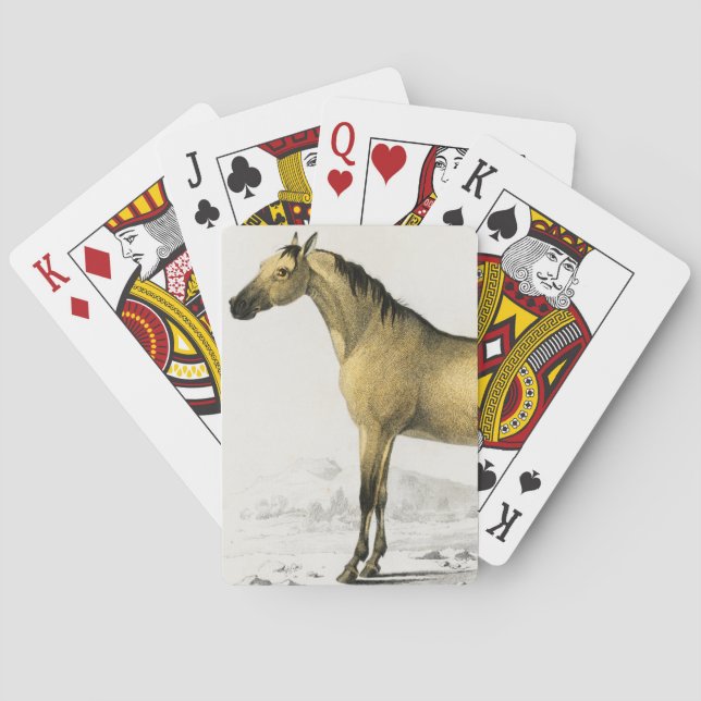 Jeu De Cartes Cheval vintage illustré (dos)