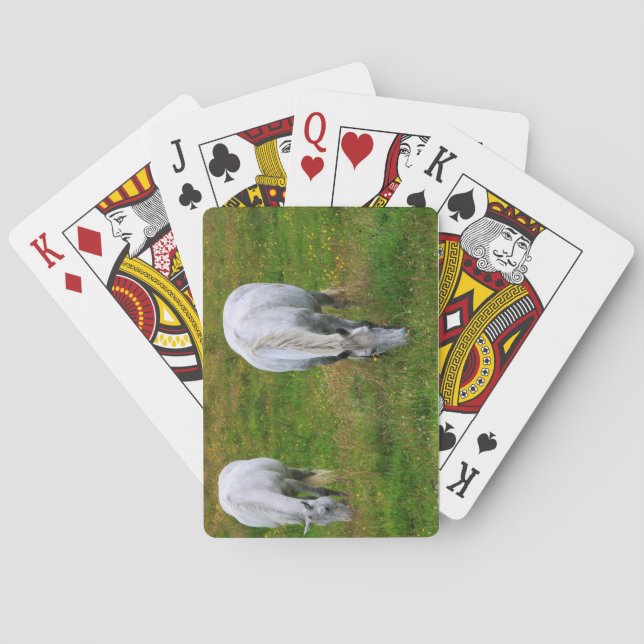 Jeu De Cartes Chevaux (dos)