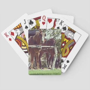 Jeu De Cartes Chevaux Amish à la Pose de Hitching autour des Pom