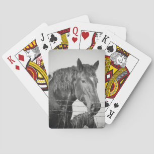 Jeu De Cartes Chevaux derrière la clôture en noir et blanc