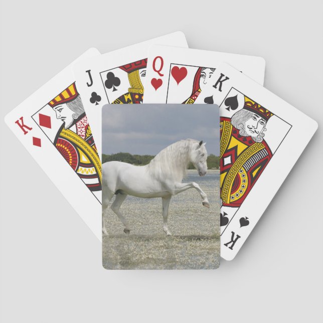 Jeu De Cartes Chevaux d'Imaginaire : Seigneur du lac (dos)