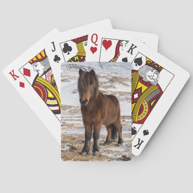 Jeu De Cartes Chevaux islandais en hiver (dos)