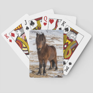 Jeu De Cartes Chevaux islandais en hiver