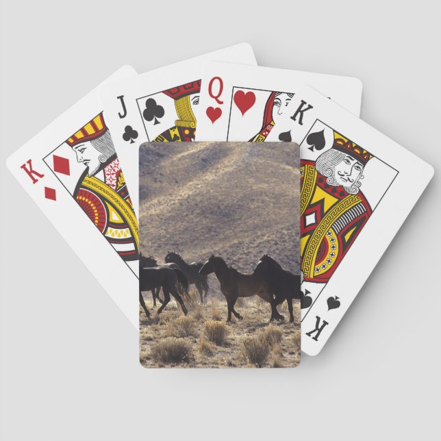 Jeu De Cartes Chevaux Mustang sauvages dans le désert 1 (dos)