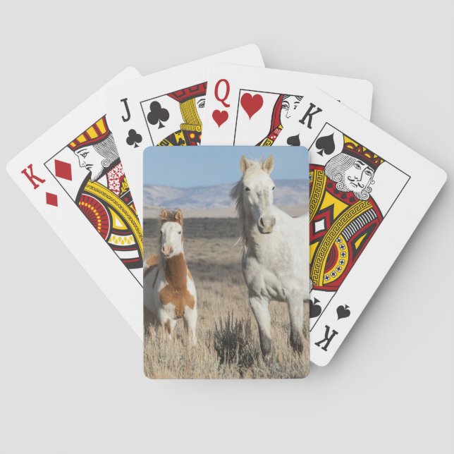 Jeu De Cartes Chevaux sauvages chez eux dans le bassin de Sandwa (dos)