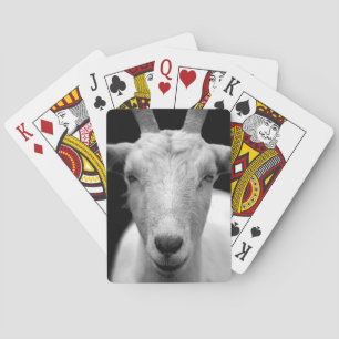 Jeu De Cartes chèvre