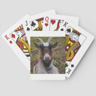 Jeu De Cartes Chèvre de près.