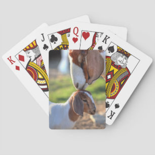Jeu De Cartes Chèvre et bébé de mère