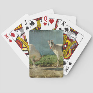 Jeu De Cartes Chèvres laitières