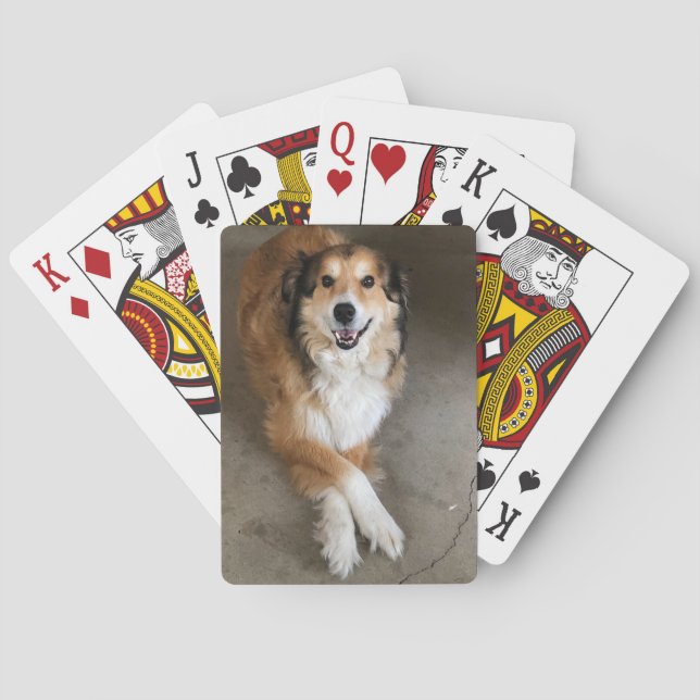 Jeu De Cartes Chien (dos)