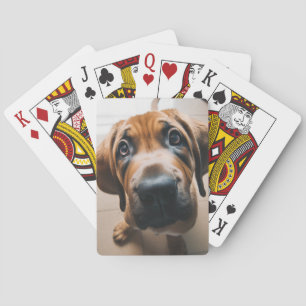 Jeu De Cartes Chien