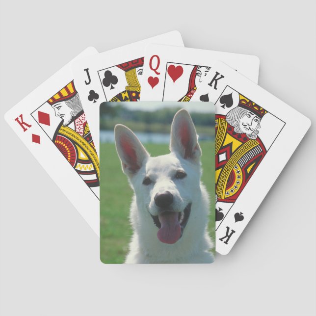 Jeu De Cartes Chien berger allemand blanc jouer aux cartes (dos)