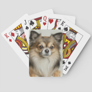 Jeu De Cartes Chien chihuahua, Chien chiot, long et lourd
