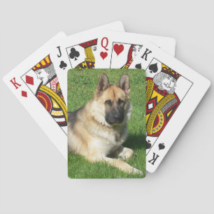 Jeu De Cartes Chien chiot allemand