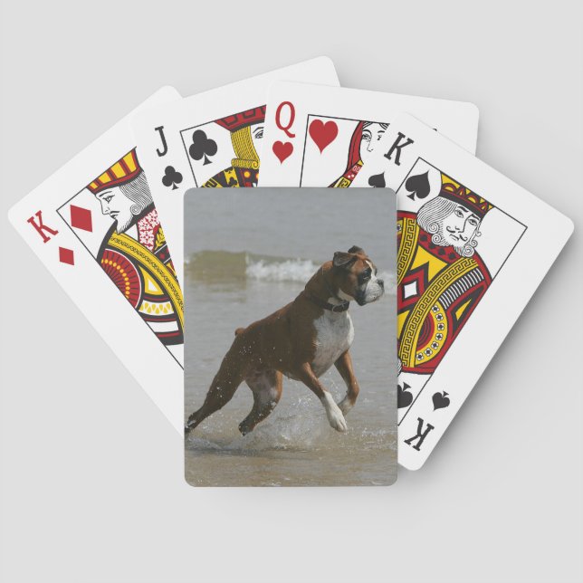Jeu De Cartes Chien de boîte dans l'eau (dos)