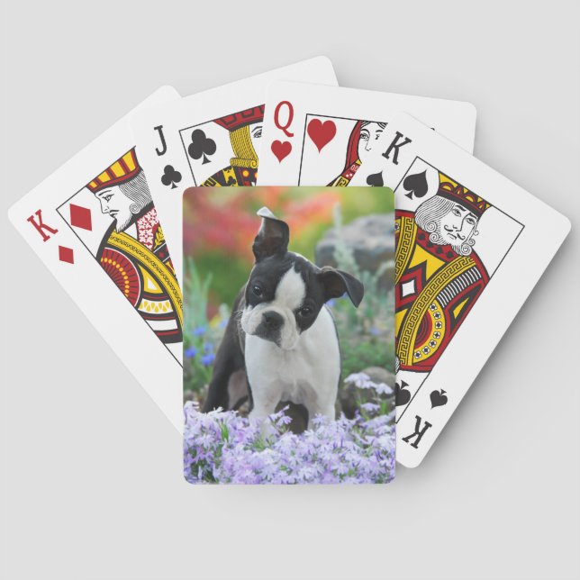 Jeu De Cartes Chien de Boston en fleurs : (dos)