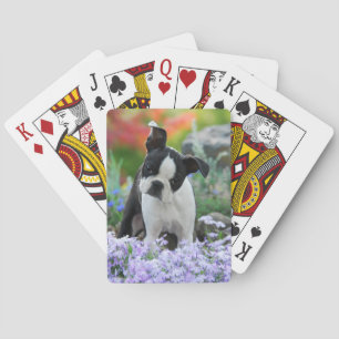Jeu De Cartes Chien de Boston Terrier mignon chiot en fleurs -