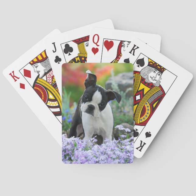 Jeu De Cartes Chien de Boston Terrier mignon chiot en fleurs - (dos)