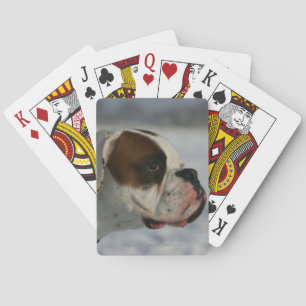 Jeu De Cartes Chien de boxe dans la neige