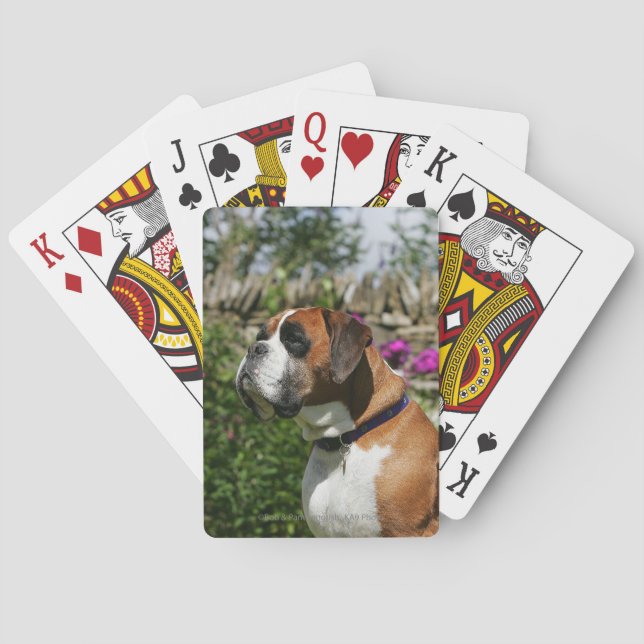 Jeu De Cartes Chien de boxeur en fleurs (dos)