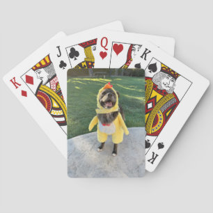 Jeu De Cartes chien de poulet