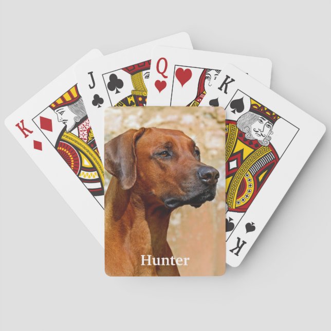 Jeu De Cartes Chien de Rhodesian Ridgeback (dos)