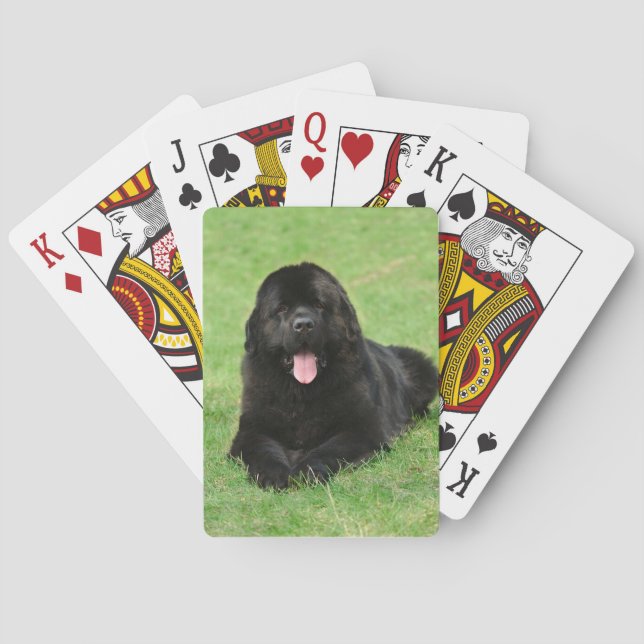 Jeu De Cartes Chien de Terre (dos)