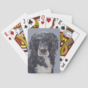 Jeu De Cartes Chien espagnol mixer portrait animal de compagnie