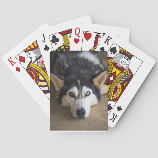 Jeu De Cartes Chien Husky Jouer aux cartes (dos)