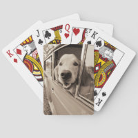 Chien regardant dehors une fenêtre de voiture
