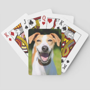 Jeu De Cartes Chien riant des images   de Getty