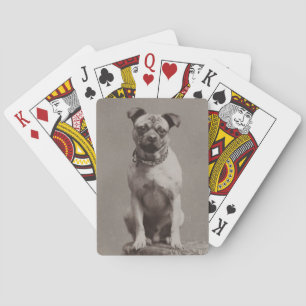 Jeu De Cartes Chien vintage