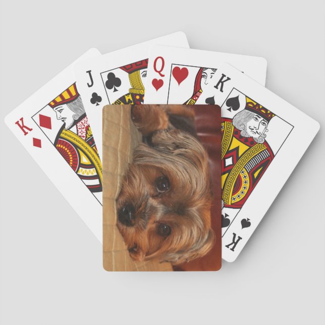 Jeu De Cartes Chien Yorkshire terrier Yorkie Puppy (dos)