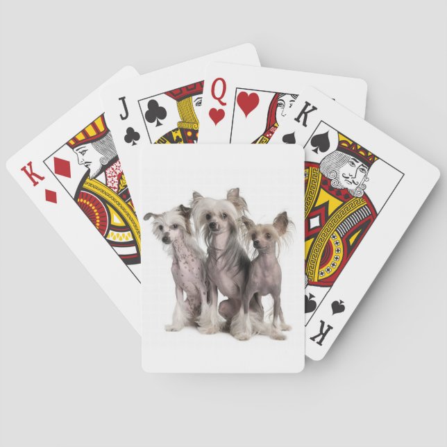 Jeu De Cartes Chinois arrêté (dos)