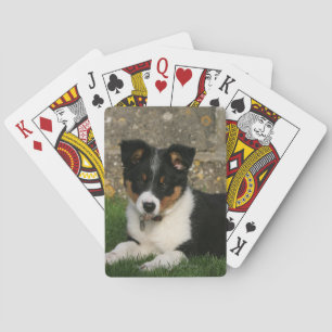 Jeu De Cartes Chiot de border collie avec la feuille dans la