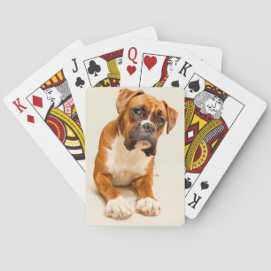 Jeu De Cartes Chiot de boxeur sur le contexte crème en ivoire