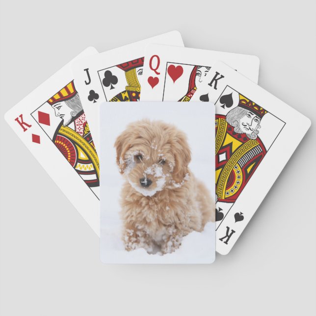 Jeu De Cartes Chiot De Goldendoodle Avec La Neige À La Face (dos)